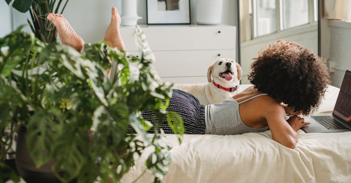 Possible To Raise Associate Salary In GTA Online As A CEO? - Unrecognizable black woman with dog and laptop on bed