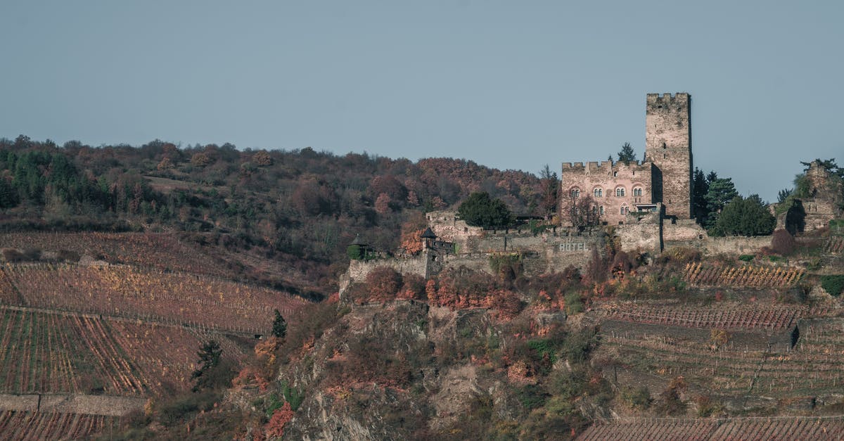 Preston stops following me after retaking the castle - Brown Concrete Building on Top of Hill