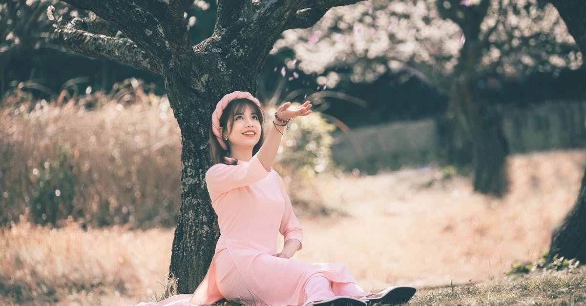 Probability of catching a pokemon - Woman in Pink Dress Sitting on Ground Under a Tree Probability of catching a pokemon - Woman in Pink Dress Sitting on Ground Under a Tree