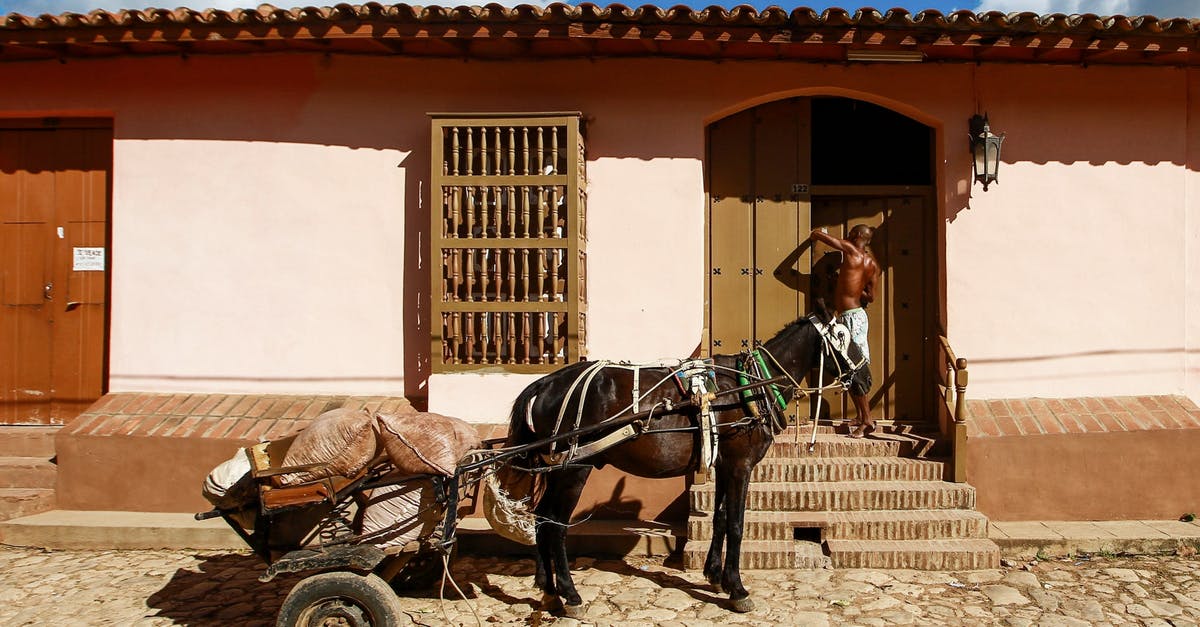 Problems building a working magma forge in current version of DF - Brown Horse With Carriage in Front of Brown Concrete Building Problems building a working magma forge in current version of DF - Brown Horse With Carriage in Front of Brown Concrete Building