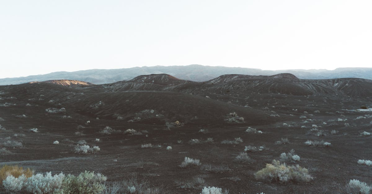 Proving grounds endless mode (DPS) - Terrain with bushes growing on hills