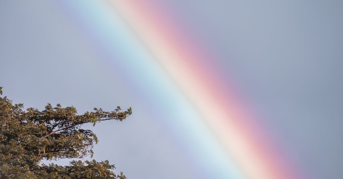 PVP Covenant options? - View of Rainbow in Sky