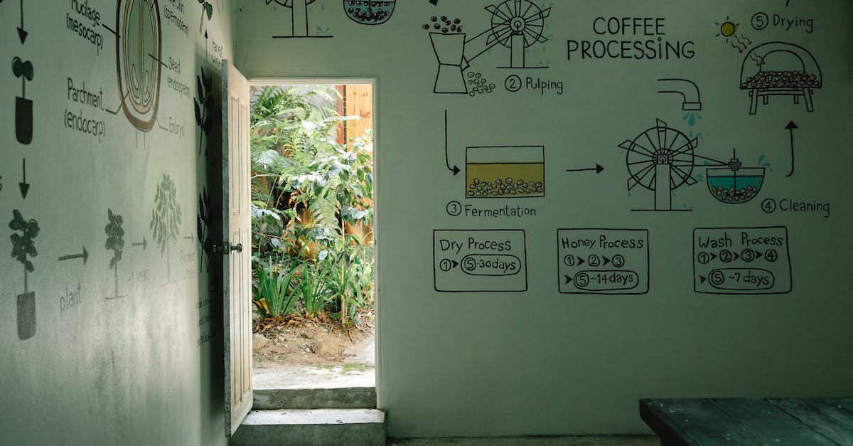 PvZ Garden Warfare graphical issues - Creative illustrations on house walls representing stages of coffee processing