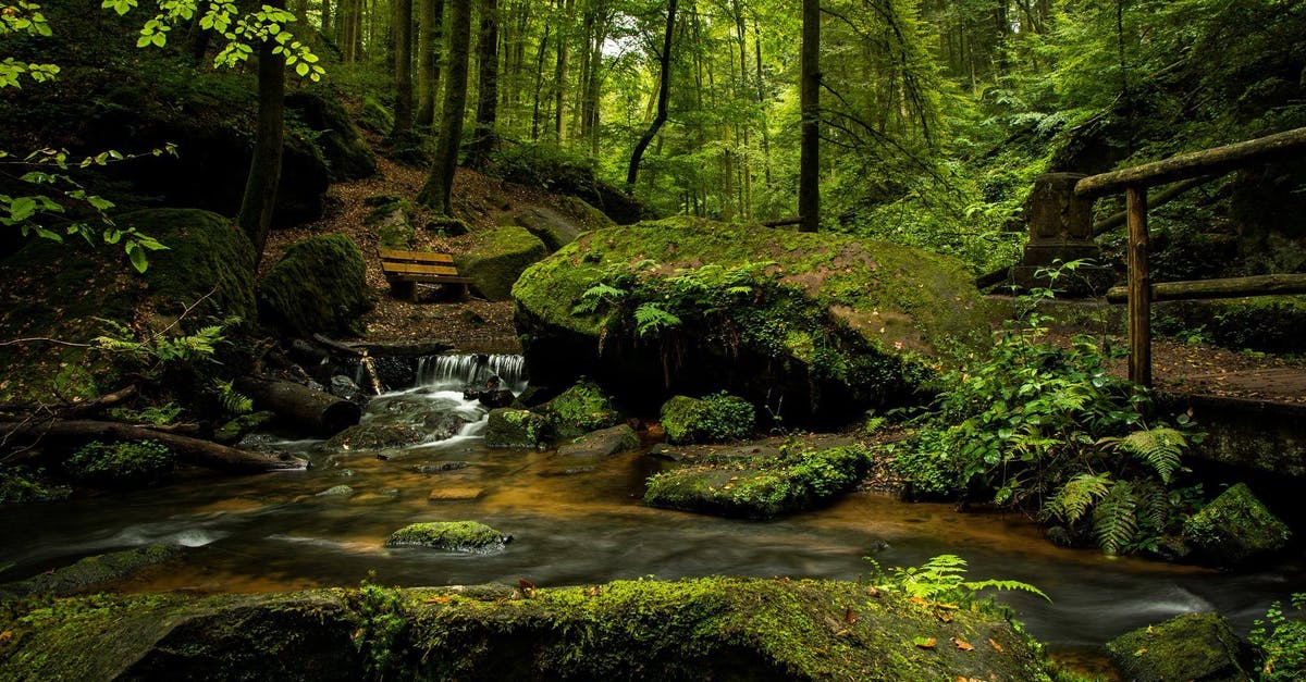 Question about my flow of quests, like Institutionalized - Waterfalls in Forest