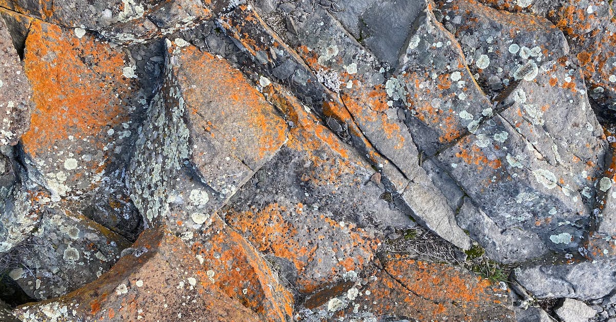 "Melee" Damage Bonus on Engi Details - Top view of rough natural rock surface with cracks and orange rust as abstract  background