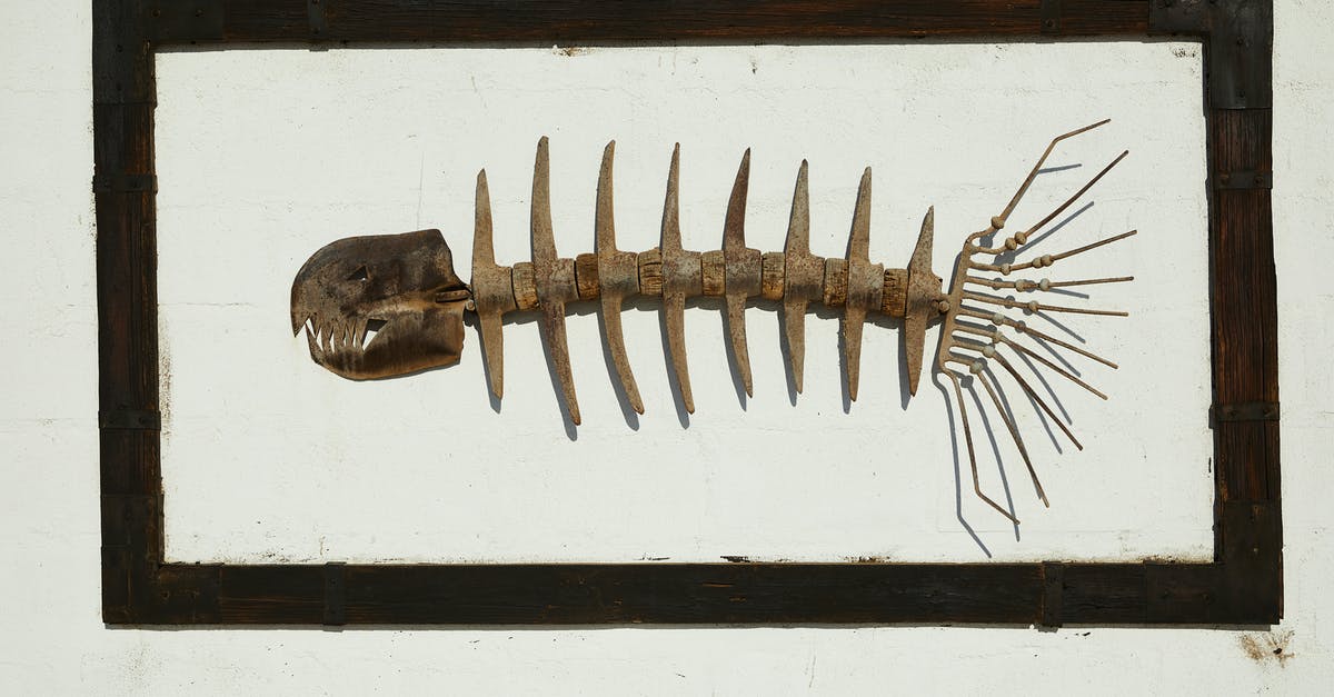 Rag & Bone Wish List killing monsters - Handmade skeleton of predatory fish with sharp teeth in black frame hanging on wall