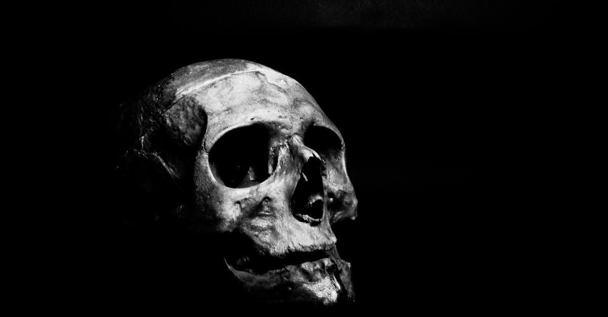 Rag & Bone Wish List killing monsters - Grayscale Photography of Human Skull Rag & Bone Wish List killing monsters - Grayscale Photography of Human Skull