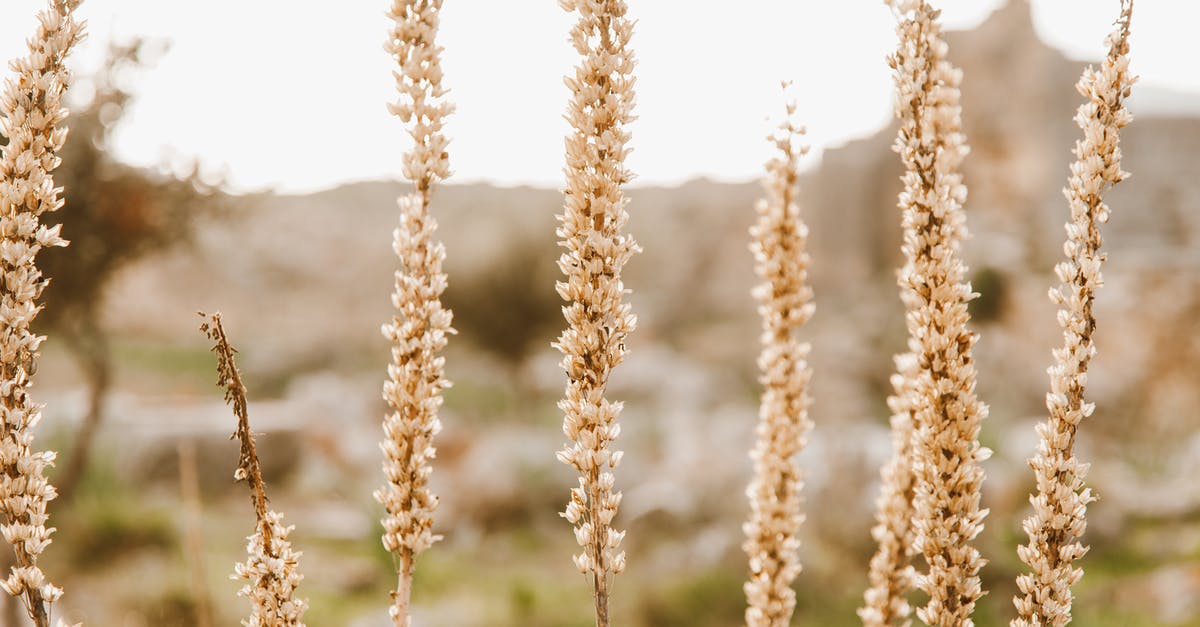 Random lag spikes of 300-500ms - Any suggestions? - Spikes in Close Up