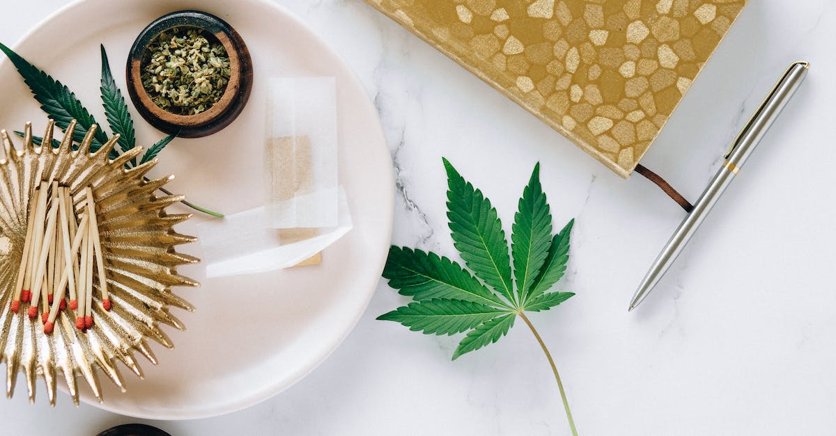 Ranks in previous matches - Cannabis Leaf on White Marble Surface 