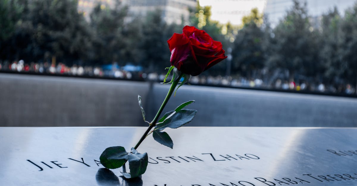 Ranks names in Diamond Mine - Red Rose on White Printer Paper