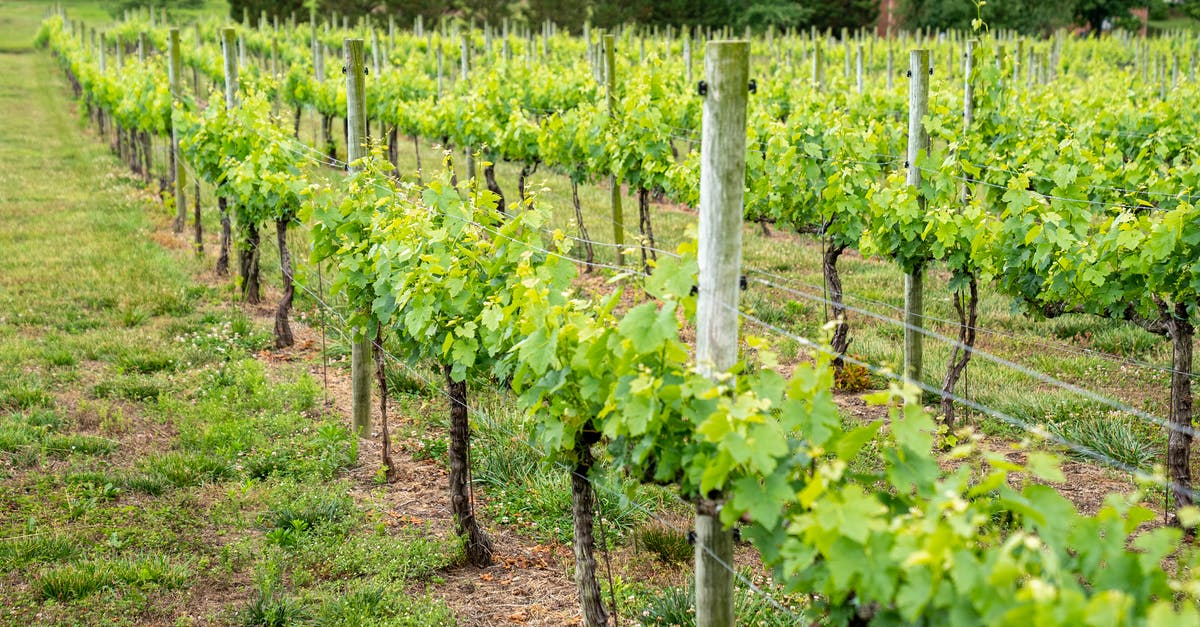 Redstone Producer/Receiver - Free stock photo of agbiopix, agriculture, countryside