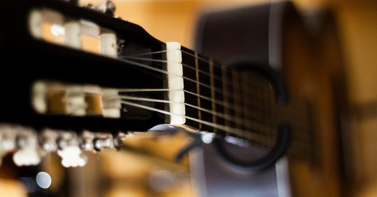 Reinforcing Bows in Dark Souls 2 - Selective Focus Photo of Black Classical Guitar Reinforcing Bows in Dark Souls 2 - Selective Focus Photo of Black Classical Guitar