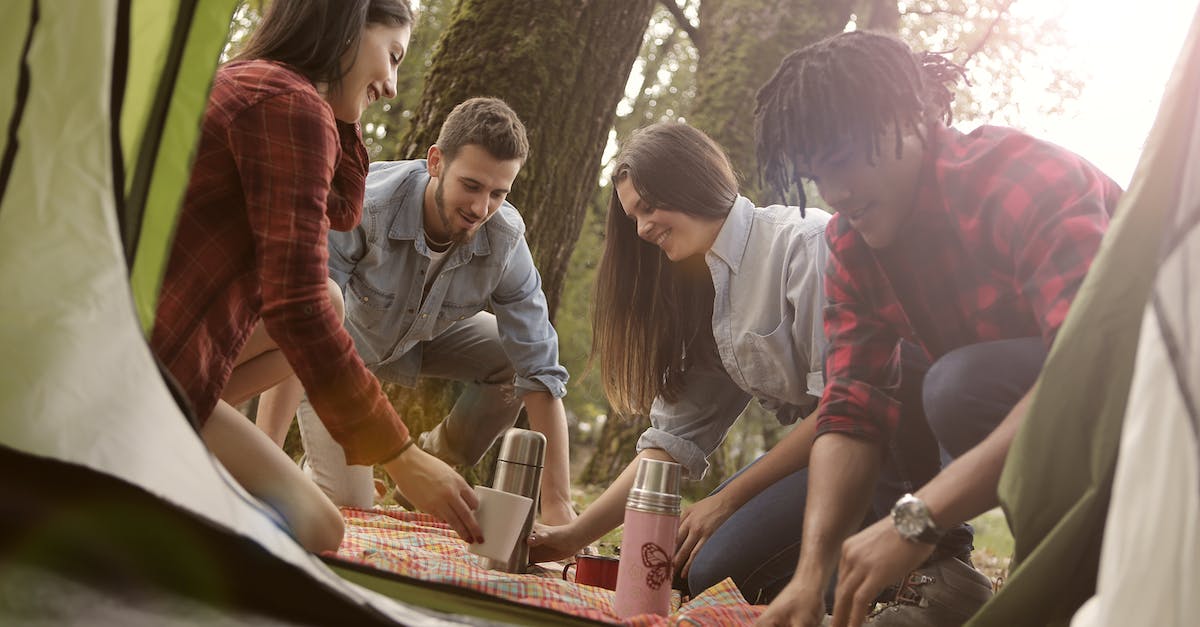 Remove From Family Share - From below of group of diverse people in casual clothes sitting on ground and having picnic in camping