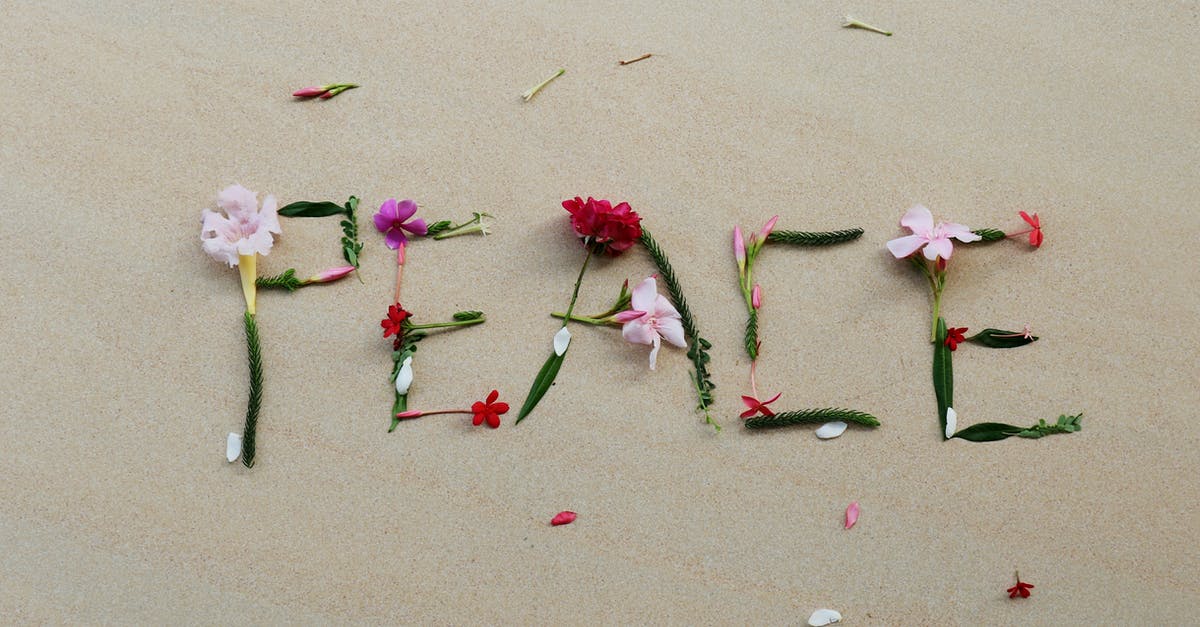 Remove too much sand from The End - Top view of composition made of gentle flowers and stems in shape of word peace on sandy beach