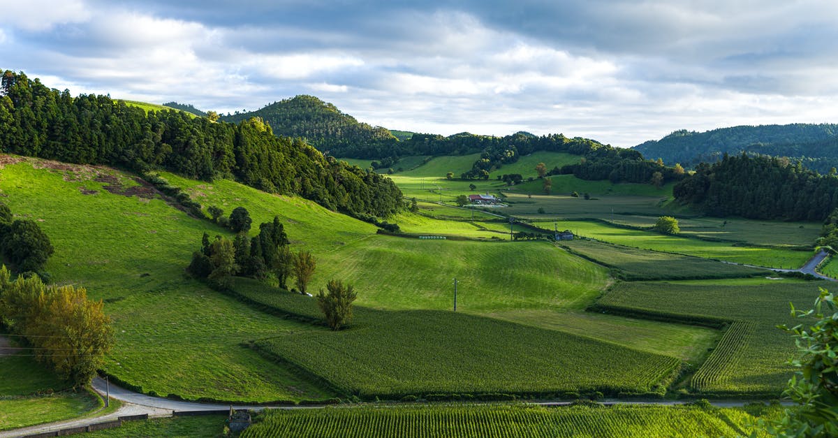 Requirements to keep vassal when they inherit foreign lands - Landscape Photography of Green Grass Field Requirements to keep vassal when they inherit foreign lands - Landscape Photography of Green Grass Field