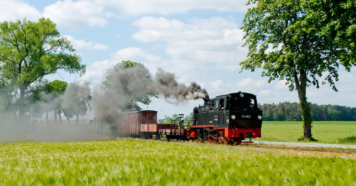 Reset tf2 settings to default and update them in steam cloud - Black Train Near Tree Reset tf2 settings to default and update them in steam cloud - Black Train Near Tree