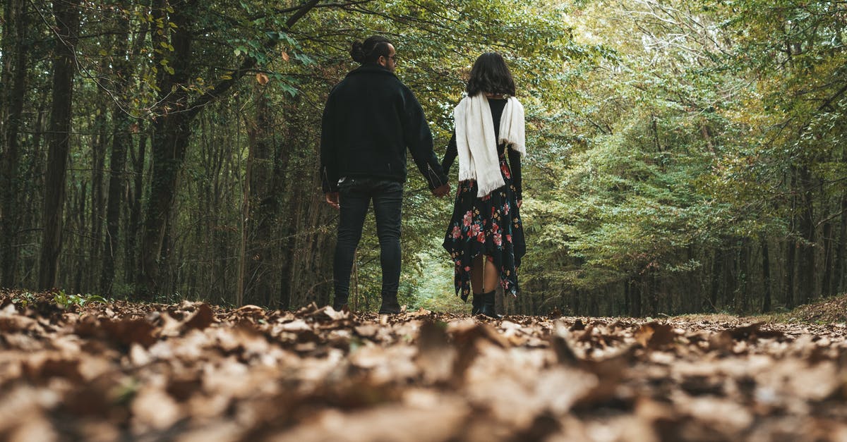 Returning to SWTOR after a couple of years - Level 55 class quests? - Back View of a Couple Holding Hands in the Woods Returning to SWTOR after a couple of years - Level 55 class quests? - Back View of a Couple Holding Hands in the Woods