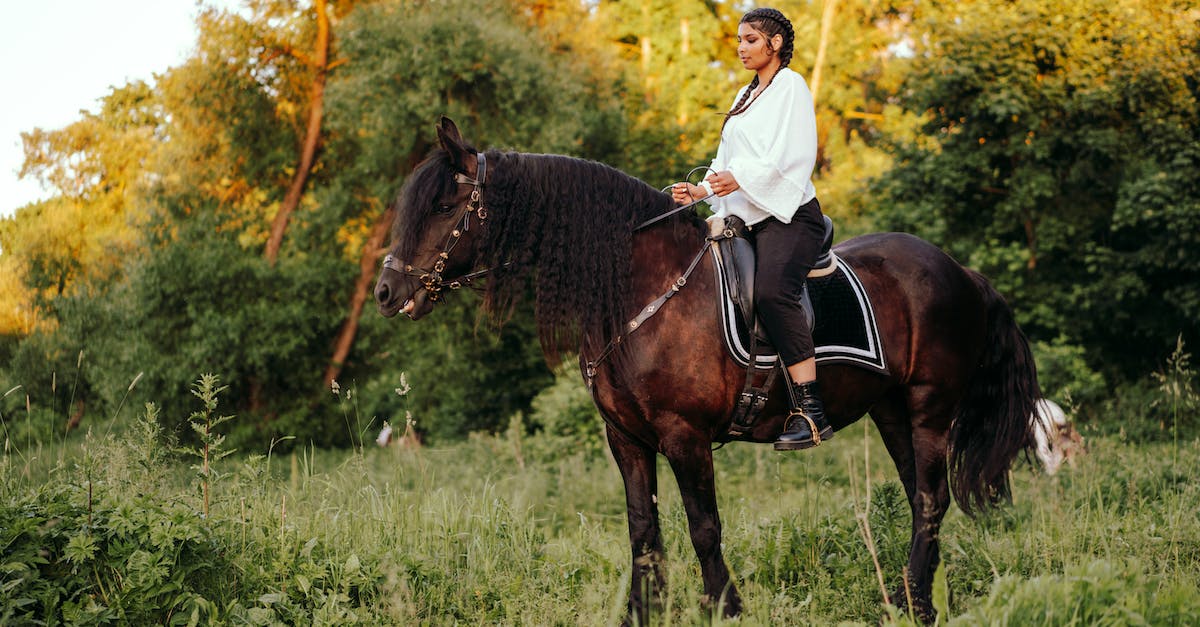 Riding in a Minecart - Free stock photo of adult, adventure, animal Riding in a Minecart - Free stock photo of adult, adventure, animal