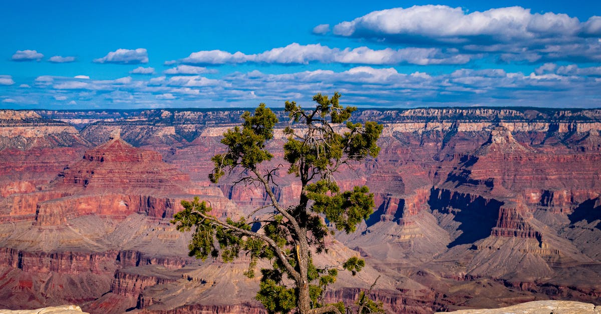 Roaming mend on a single target - Free stock photo of canyon, cliff, desert Roaming mend on a single target - Free stock photo of canyon, cliff, desert