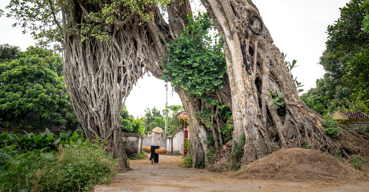 Rocket League local multiplayer via steam link + DS4 controllers - Person in conical hat carrying baskets in village in daytime