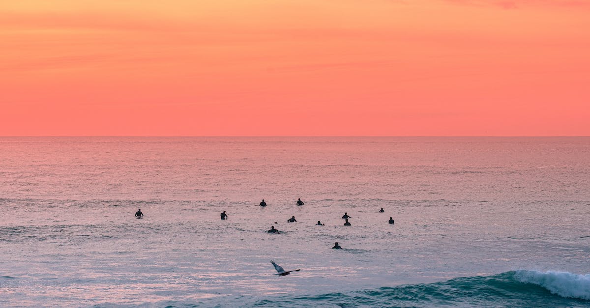Roll back save/roster move in NBA 2K15 - Unrecognizable silhouettes of surfers swimming to beach at sundown