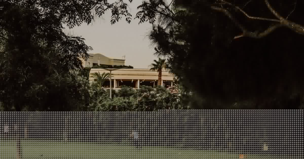 Run command whenever someone joins a Minecraft server - Woman With White Sunvisor Running