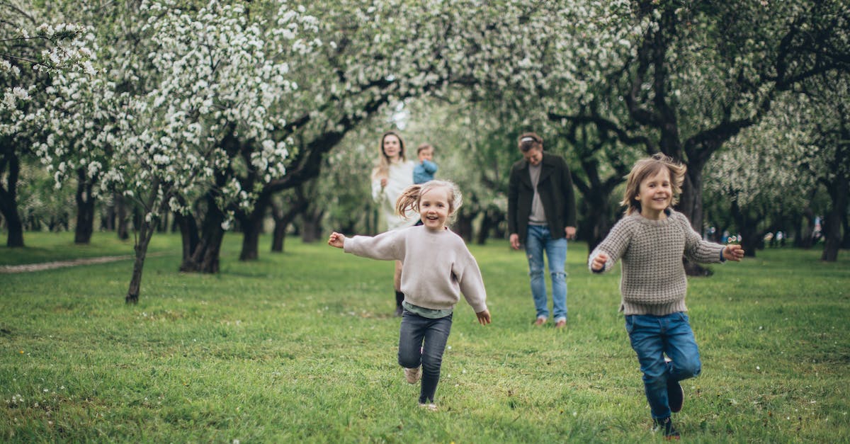 Running out of time in attacks - A Happy Family in the Park Running out of time in attacks - A Happy Family in the Park