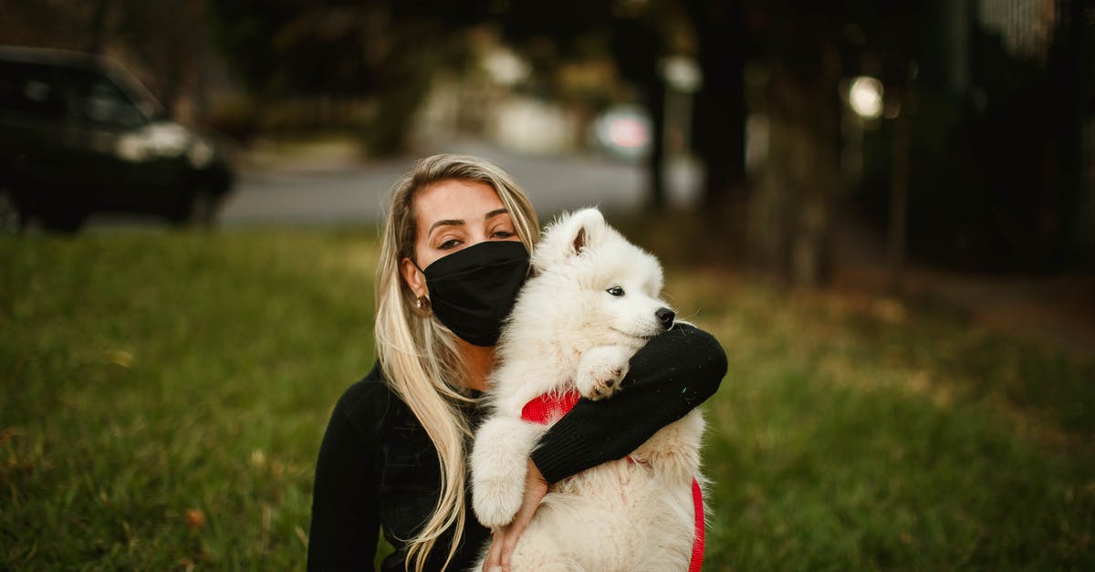 Safe methods of releasing/slaying trapped creatures - Serene woman hugging cute dog in city