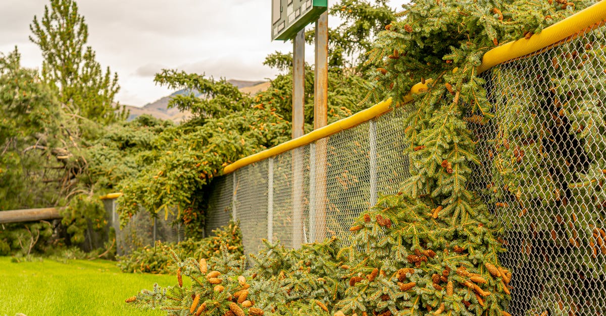 scoreboard specification - Fallen Trees on Top of the Fence scoreboard specification - Fallen Trees on Top of the Fence