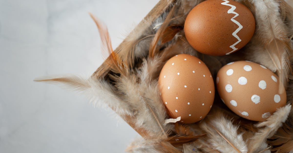 Secret eggs in Limbo for Xbox One -  Secret eggs in Limbo for Xbox One -