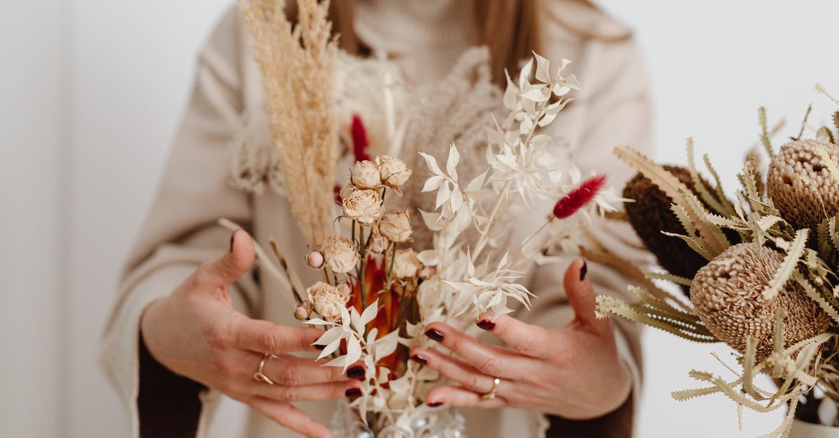 Selecting a specific area not working [closed] - Free stock photo of bone, bride, christmas