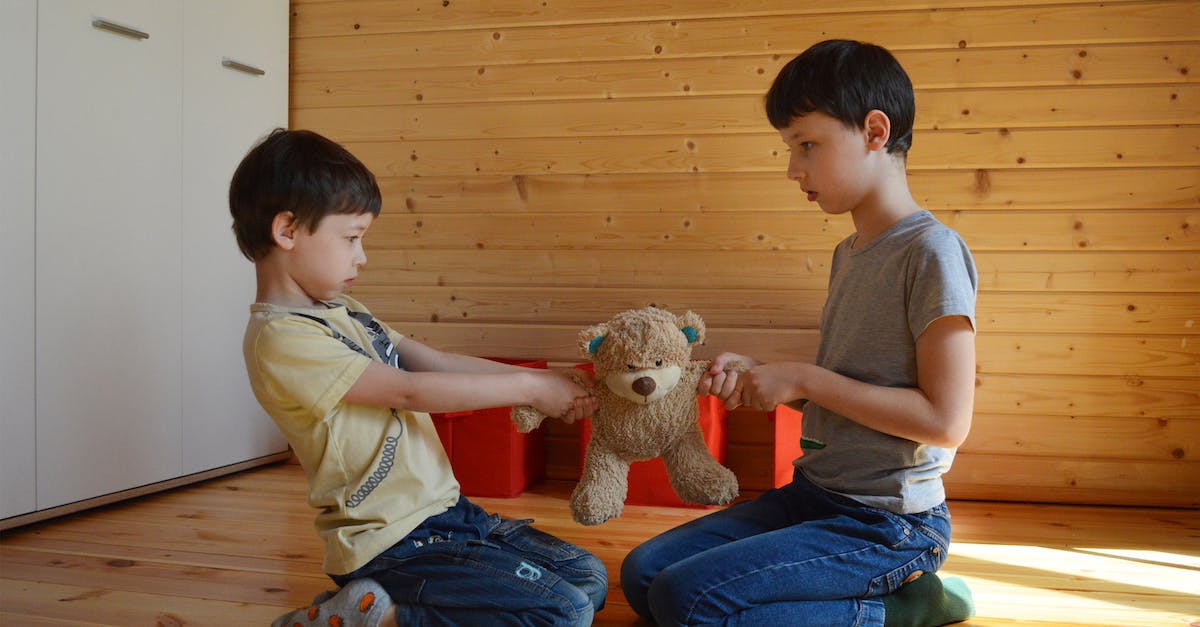 Sever login problems - Account registered / wrong password - Side view full body fighting brothers in casual wear sitting on floor and pulling teddy bear to sides at home