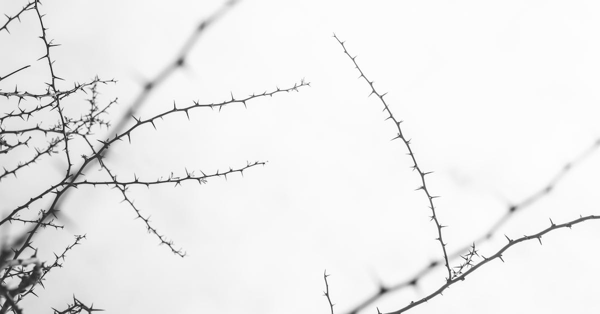 shaders SEUS error / sky overlay - 