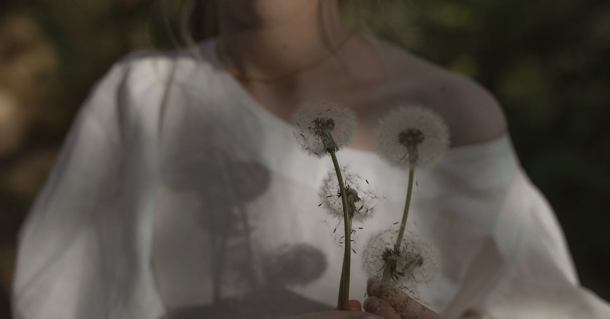 Shadowplay will not recognize Overwatch - Woman Holding White Flower