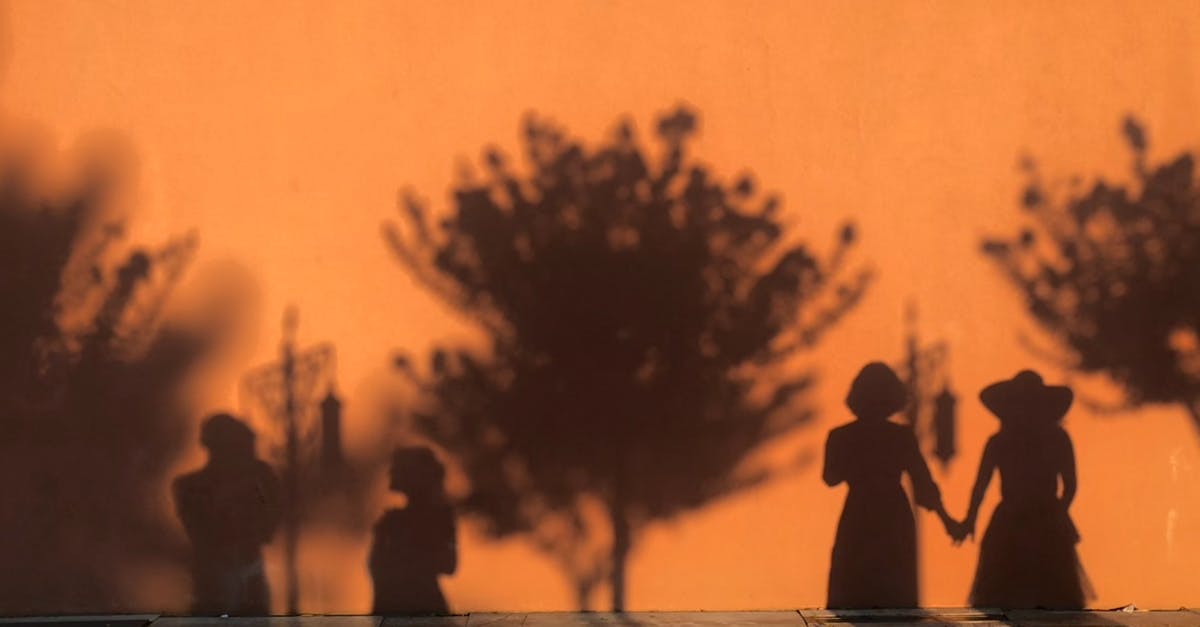 Shadowplay will not recognize Overwatch - Shadow of People Standing beside Trees