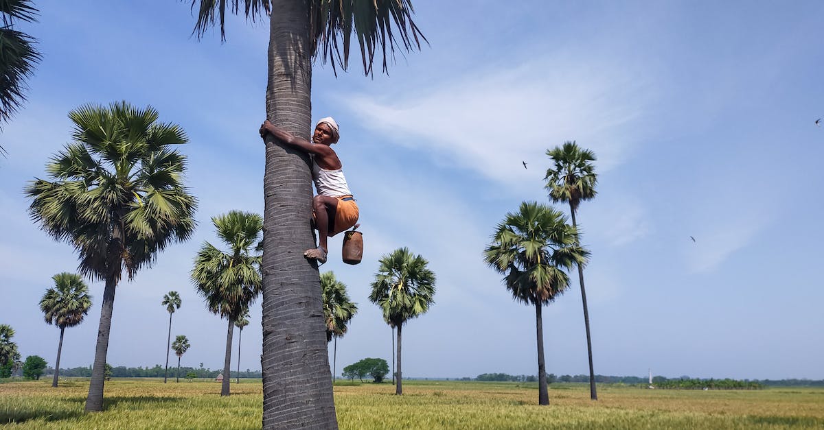 Should I be spreading out my skill growth at the start? - From below side view of ethnic barefoot male with metal jug hanging on tree trunk above grass lawn