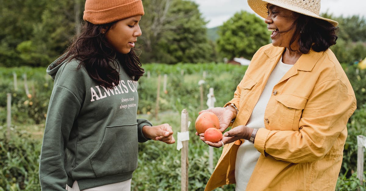 Should I farm Sudden Insight with "Talk to the Porters"? - Side view of happy adult ethnic female gardener showing fruits to teenager standing near green plantation while interacting on farmland