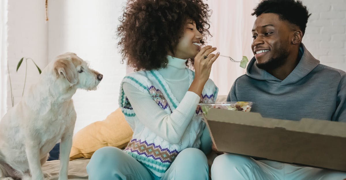 Should I feed my dog? - Black cheerful couple enjoying fresh salad together while dog watching