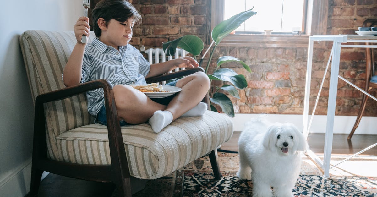 Should I let my pets eat corpses? - Woman in Gray and Black Stripe Shirt Sitting on Brown Wooden Armchair Should I let my pets eat corpses? - Woman in Gray and Black Stripe Shirt Sitting on Brown Wooden Armchair