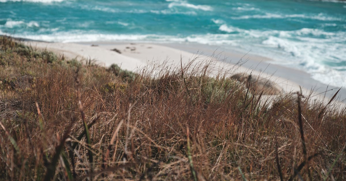 Should I mantain Cloning Bay powered when traveling? - Foamy ocean washing sandy coast near hill covered with dry grass