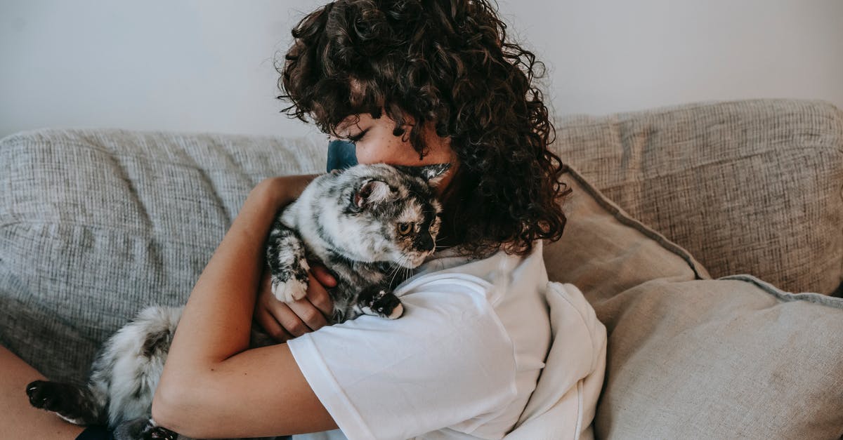 Should I pet my cat or just give him treats? - Side view of calm young female owner with dark curly hair and charcoal mask on nose relaxing on soft couch and embracing adorable cat with closed eyes Should I pet my cat or just give him treats? - Side view of calm young female owner with dark curly hair and charcoal mask on nose relaxing on soft couch and embracing adorable cat with closed eyes