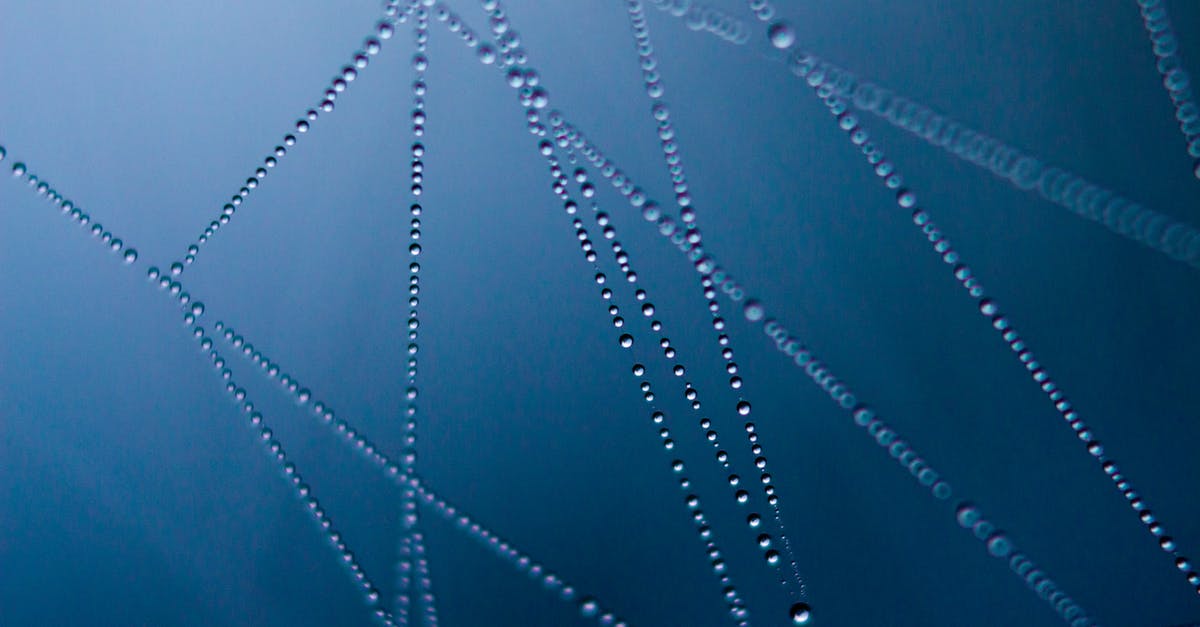 Should I rapid-cast the spider queen? - Connected Water Dot Illustration Should I rapid-cast the spider queen? - Connected Water Dot Illustration