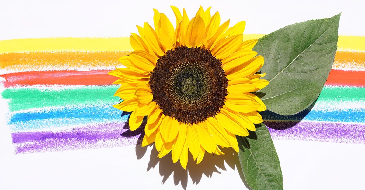 Should I specialise in a single job? - Yellow Sunflower With Leaves