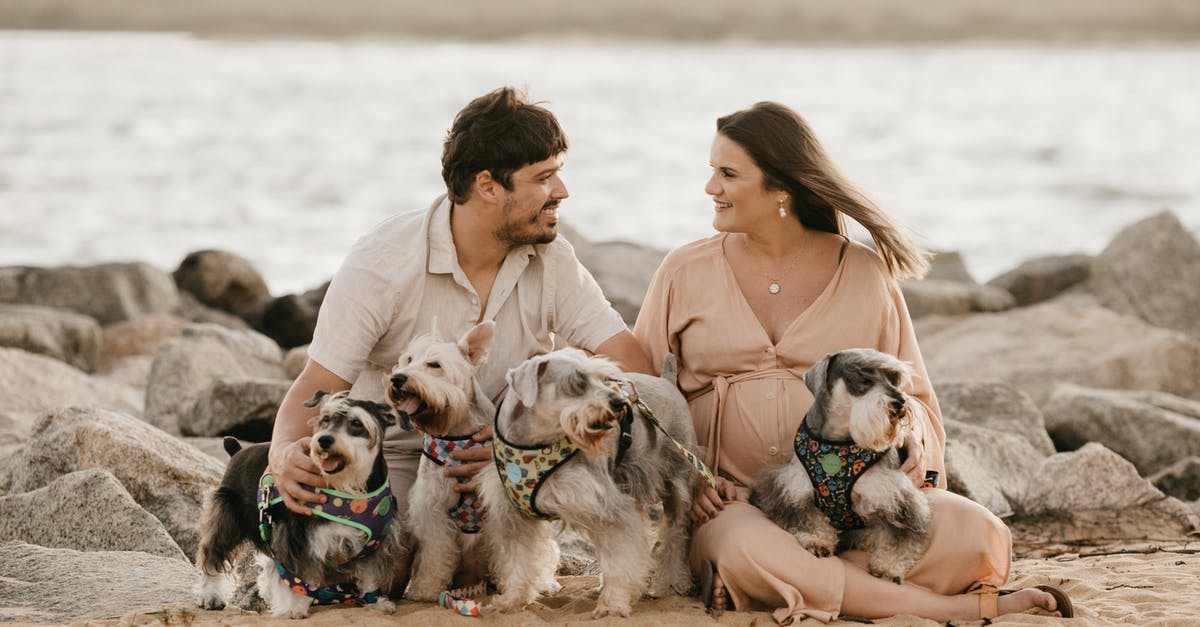 Should I spend time levelling up all my units? - Happy Couple Spending Time on Beach with Cute Dogs