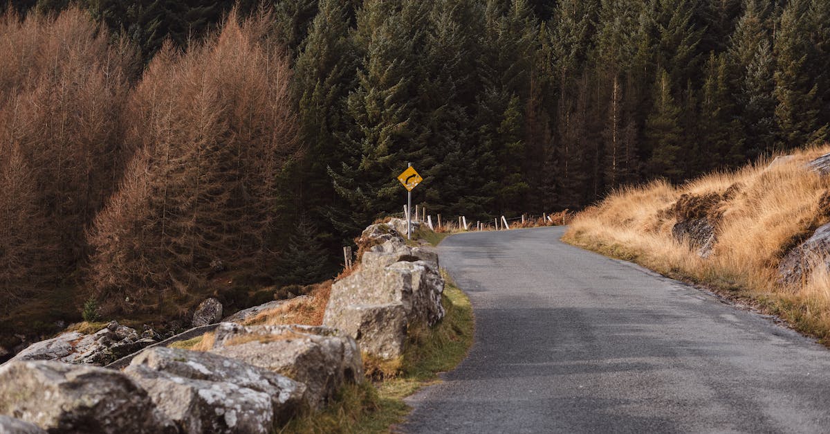 Show the direction of one-way roads - Curved asphalt roadway against rough stones and lush trees in autumn season on sunny day Show the direction of one-way roads - Curved asphalt roadway against rough stones and lush trees in autumn season on sunny day
