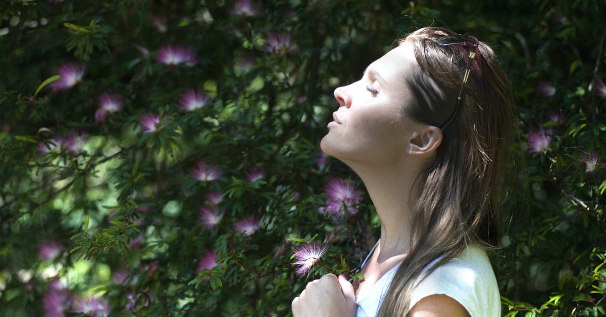 Side ops completed yet still available? - Woman Closing Her Eyes Against Sun Light Standing Near Purple Petaled Flower Plant Side ops completed yet still available? - Woman Closing Her Eyes Against Sun Light Standing Near Purple Petaled Flower Plant