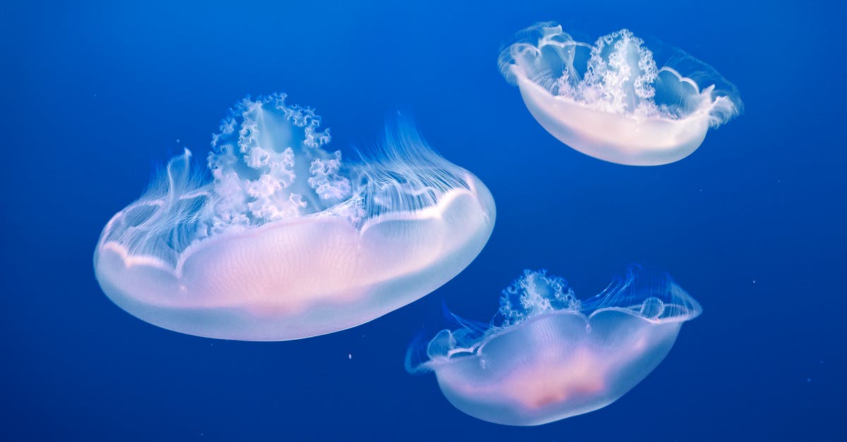 Sinking deep down the ocean in Anno 2070 - Deep Ocean - Three Jellyfishes