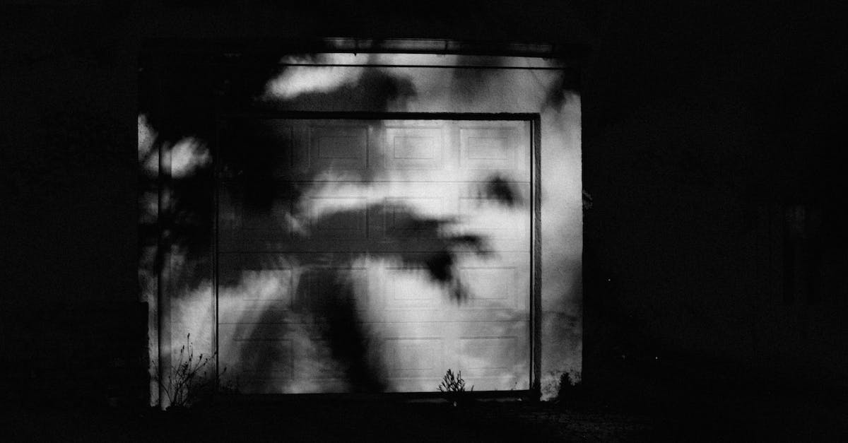 Skins that cannot be in mystery gifts? - Grayscale Photo of a Person in a Room