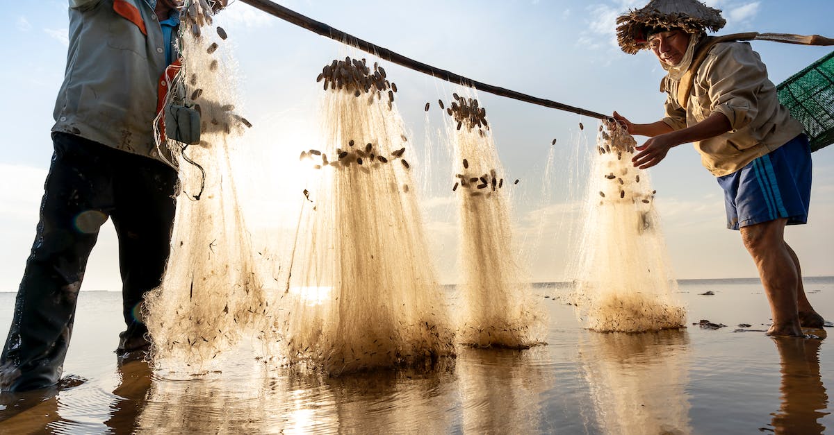 Skyblocks Animals - Woman and Man Holding Nets with Fish