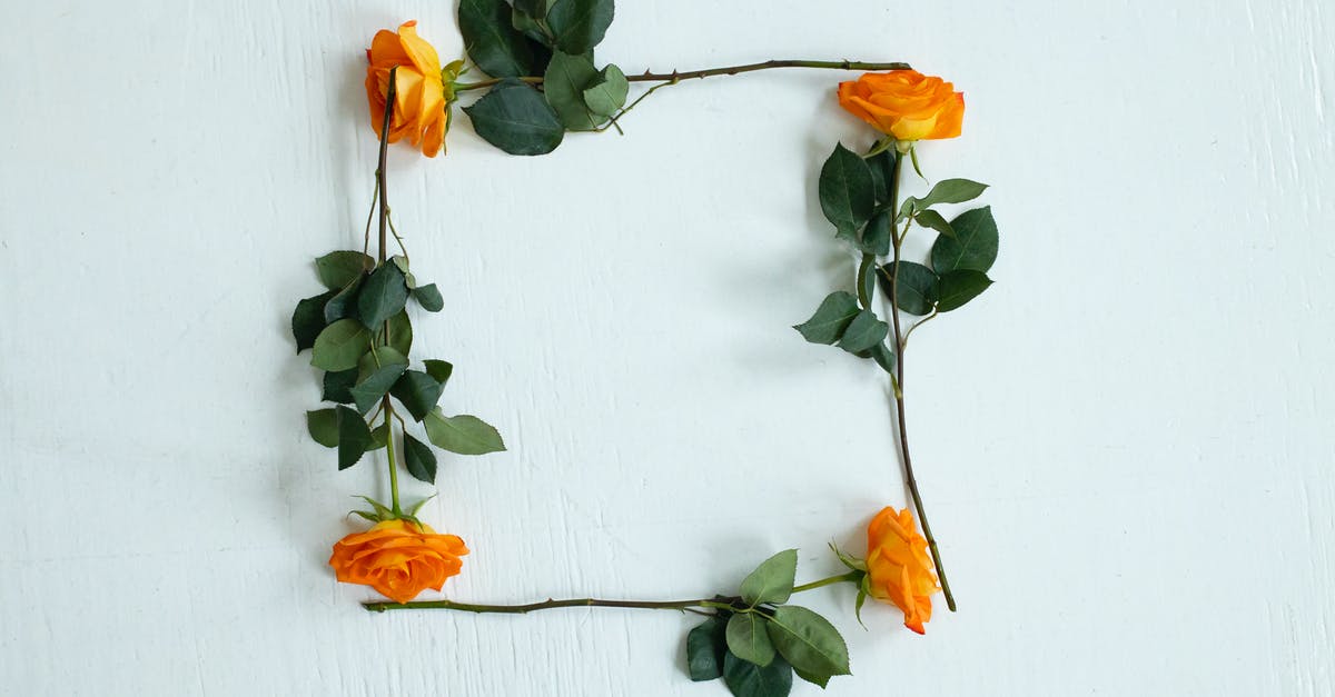 Skyrim frame rate issue for first 5 minutes of gameplay - Four Orange Roses Arranged to Make a Square Shape 